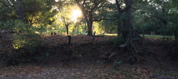 Grundstück in Puerto Carrillo, Costa Rica, Nr. 1468 4