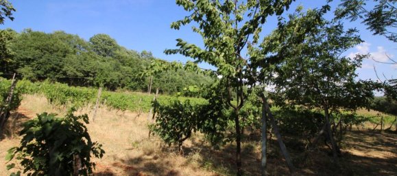 8 rooms House in Montespertoli, Italy No. 19102 47