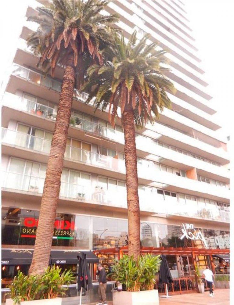 Studio in Vicente Lopez, Argentina No. 10463