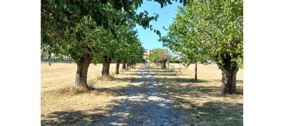 5-Zimmer Haus in Alessandria, Italy, Nr. 252848 4