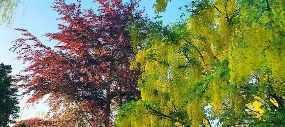 8-Zimmer Haus in Demmin, Germany, Nr. 267107 30