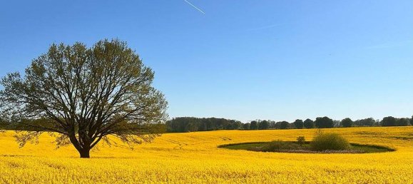 8-Zimmer Haus in Demmin, Germany, Nr. 267107 34