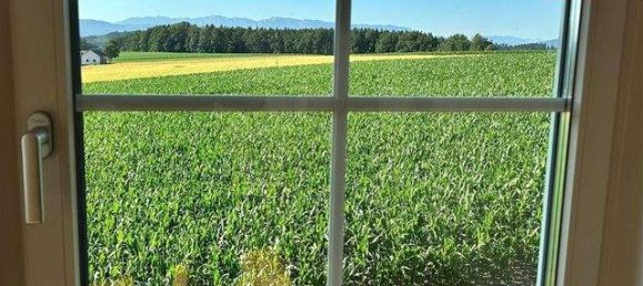 4-Zimmer Haus in Neukirchen an der Vöckla, Austria, Nr. 210398 11