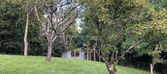 4 Schlafzimmer Haus in Villedieu-le-Chateau, France, Nr. 229531 20