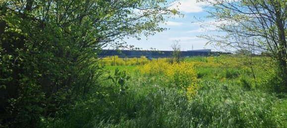 55522m² Land in Faenza, Italy No. 371991 8