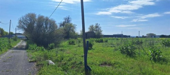 55522m² Land in Faenza, Italy No. 371991 10