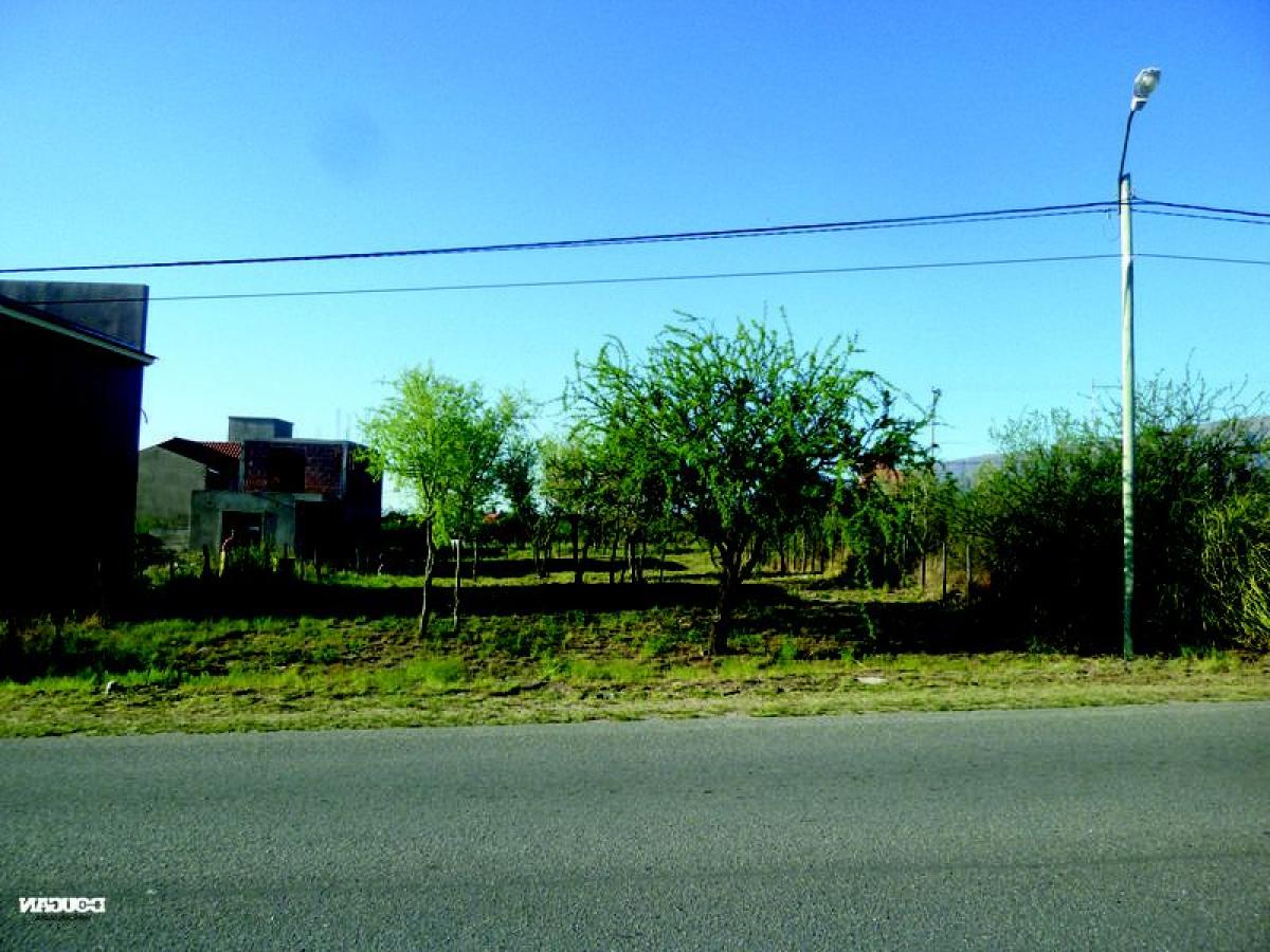 Terrain à San Luis, Argentina No. 49071