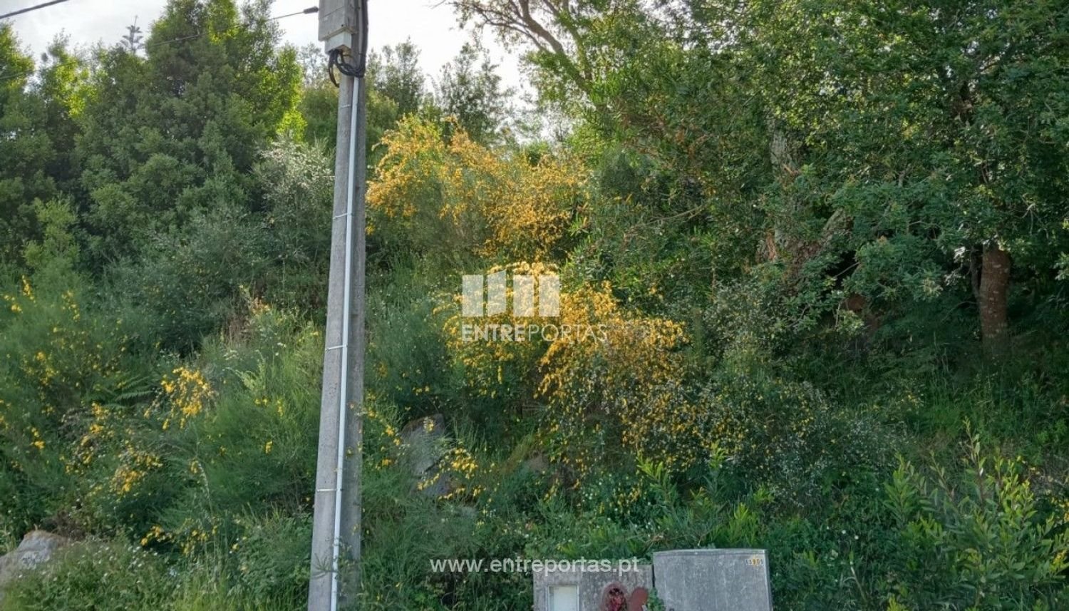 1205m² Land in Caminha, Portugal No. 195217