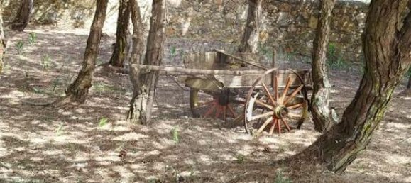 Casa de 4 dormitorios en Colares, Portugal No. 64626 3