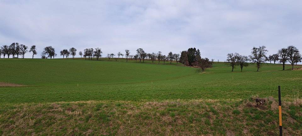 Terreno em St. Peter in der Au, Austria 805 m² N.º 81444