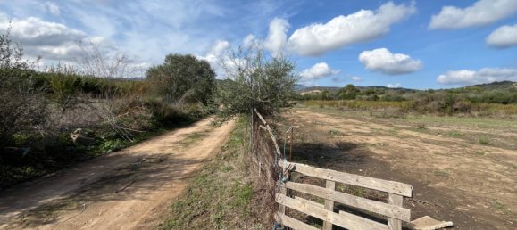 17000m² Land in Tortolì, Italy No. 81911 5