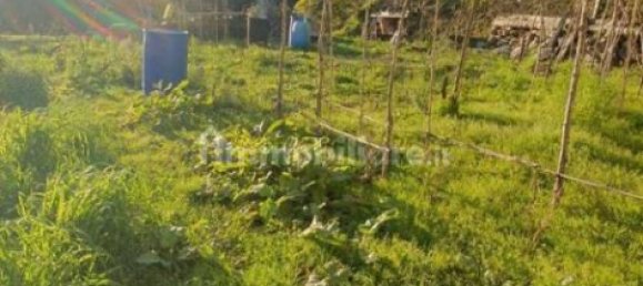 Студия в Фолло, Италия № 156231 29