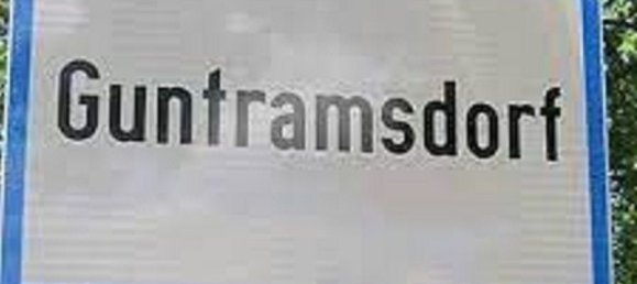 Terreno en Guntramsdorf, Austria No. 254574 11