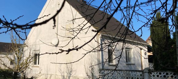 1 chambre Maison à Mecklenburgische Seenplatte, Germany No. 247092 5