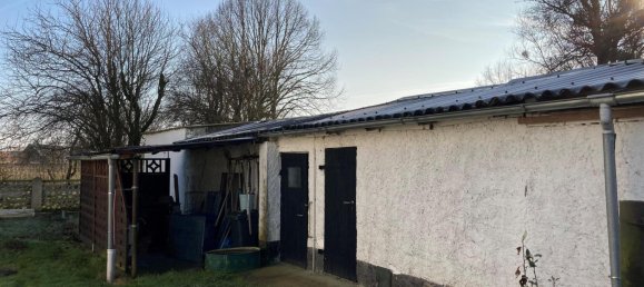 1 chambre Maison à Mecklenburgische Seenplatte, Germany No. 247092 19