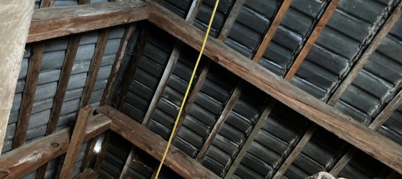 1 chambre Maison à Mecklenburgische Seenplatte, Germany No. 247092 16