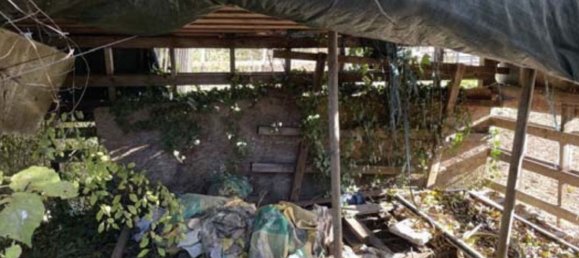 10 rooms Villa in Santa Lucia di Piave, Italy No. 258766 19