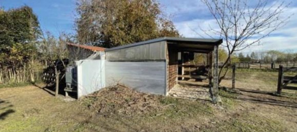 10 rooms Villa in Santa Lucia di Piave, Italy No. 258766 18