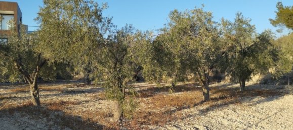 4 غرف نوم منزل في Petrer, Spain رقم 90651 2