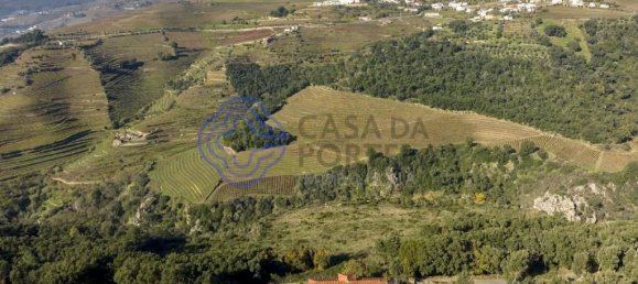 9 bedrooms Castles in Mesao Frio, Portugal No. 136634 10