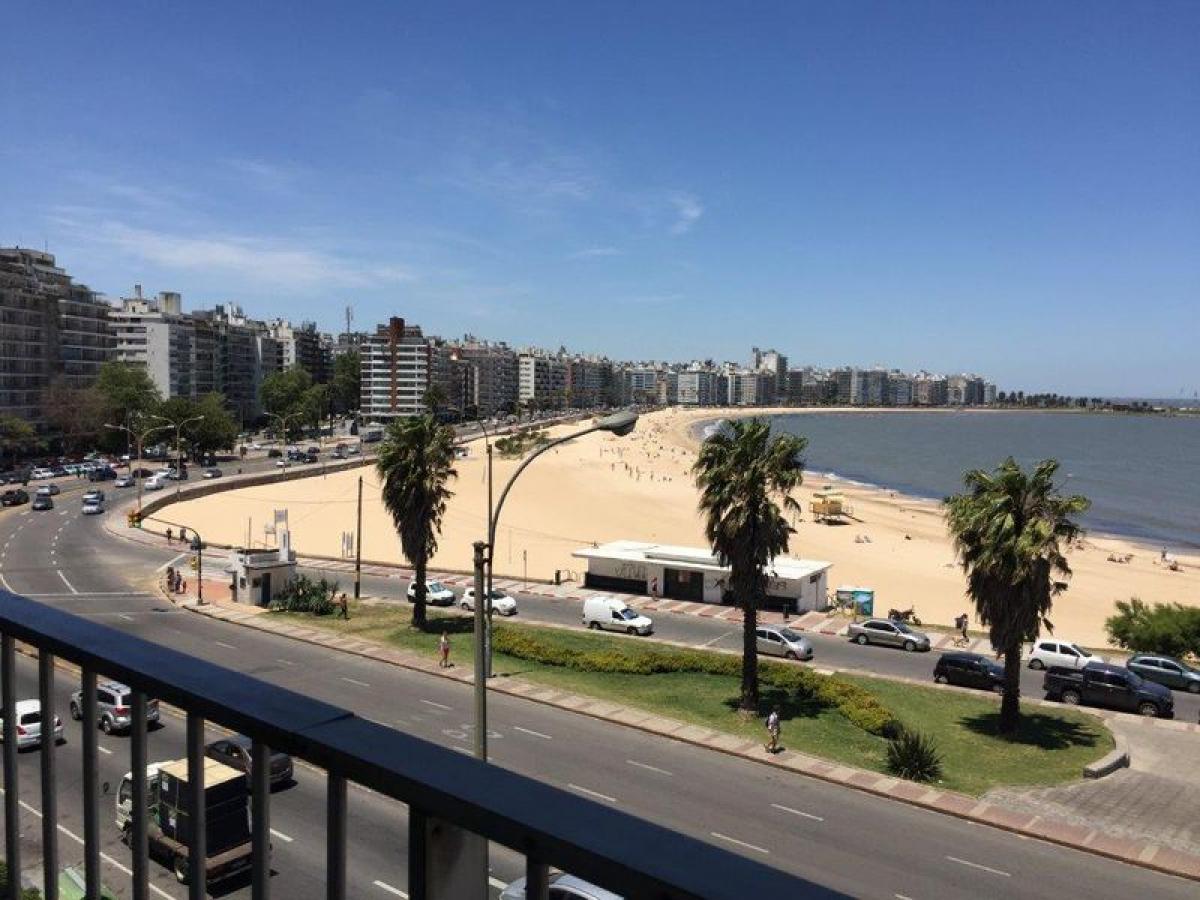 3 Schlafzimmer Wohnung in Montevideo, Uruguay, Nr. 11150