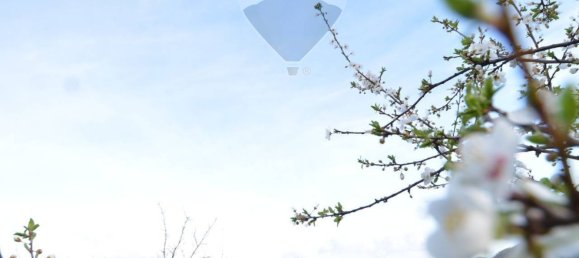 4 bedrooms House in Magliolo, Italy No. 36929 50