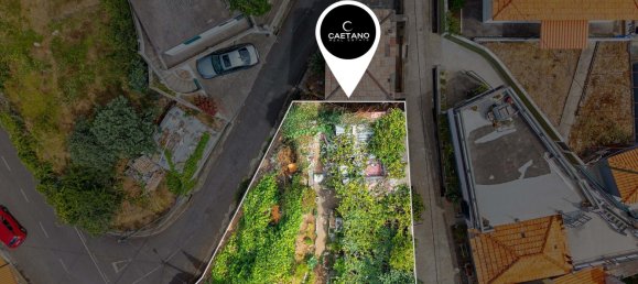 1 bedroom Villa in Ponta do Sol, Portugal No. 343388 6