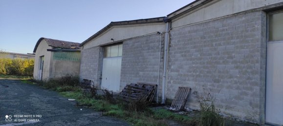 Casa de 6 habitaciónes en Alessandria, Italy No. 47073 7