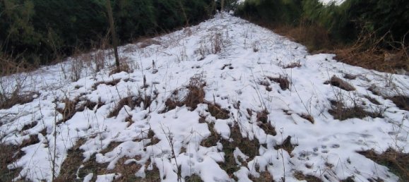 3 غرف نوم منزل في Burbure, France رقم 58952 14