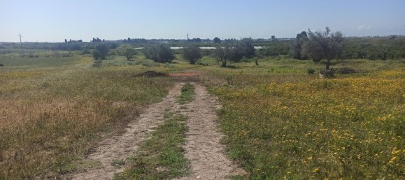 3-Zimmer Haus in Ispica, Italy, Nr. 68386 31