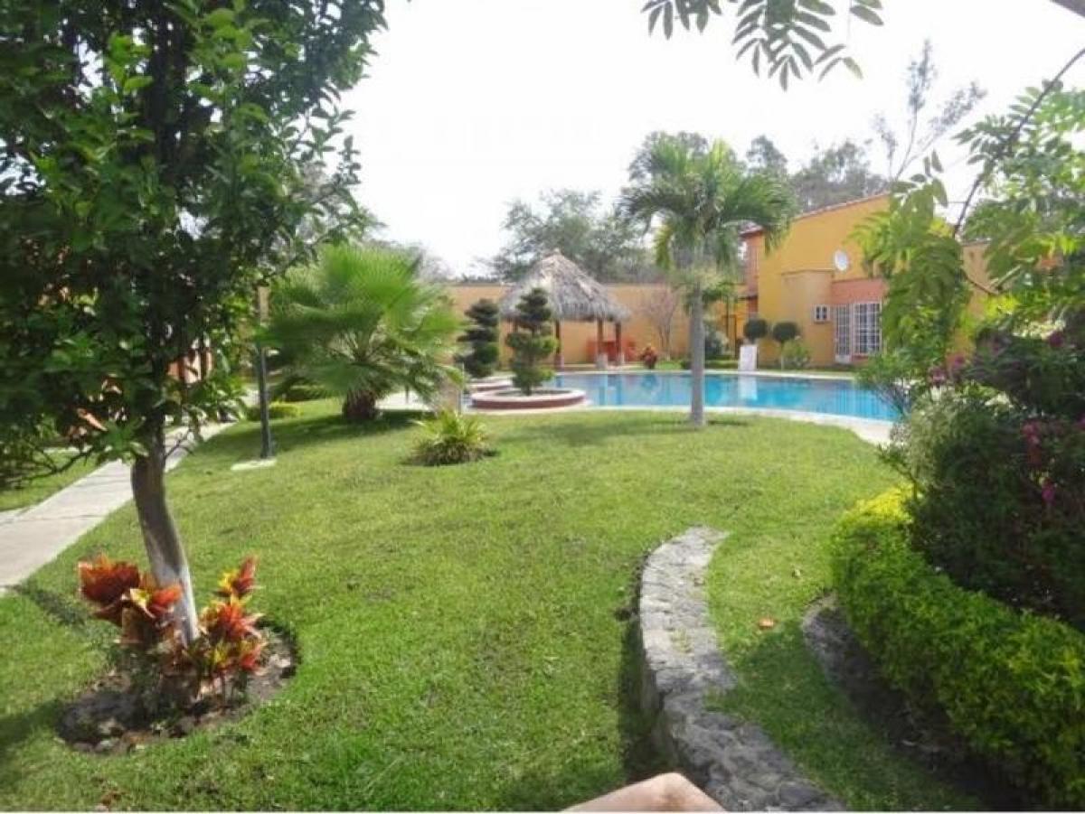 Studio in Morelos, Mexico No. 164655