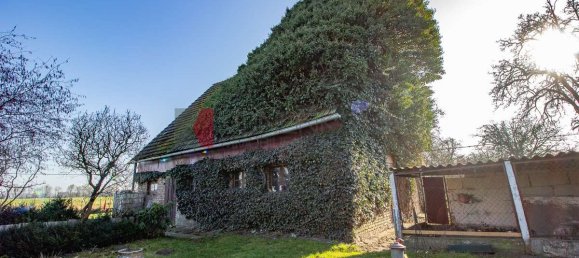 Дом с 6 комнатами в Передняя Померания-Рюген, Германия № 171573 11