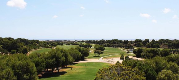 2 bedrooms Bungalow in Pilar de la Horadada, Spain No. 6373 13