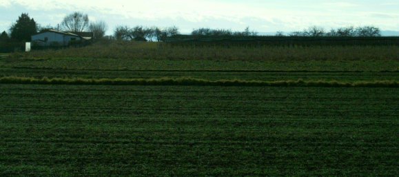  Land in Krems an der Donau, Austria No. 66193 5