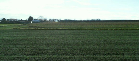  Land in Krems an der Donau, Austria No. 66193 4