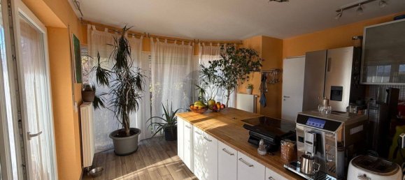 5 bedrooms Townhouse in Karlsruhe, Germany No. 26774 6