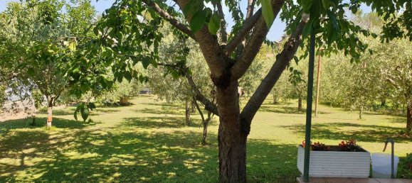 11-Zimmer Villa in Venarotta, Italy, Nr. 139559 2