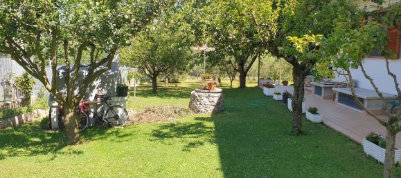 11-Zimmer Villa in Venarotta, Italy, Nr. 139559 4