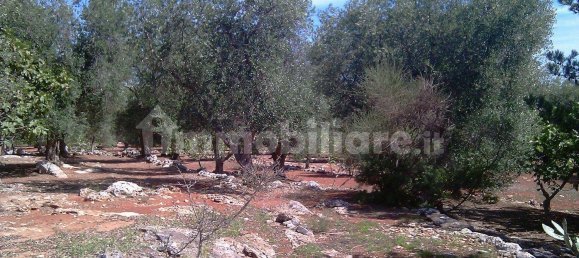 Casa de 2 habitaciónes en Ceglie Messapica, Italy No. 89499 2