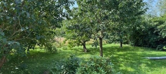 6 rooms Townhouse in Vorpommern-Greifswald, Germany No. 355038 6