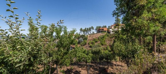 3 غرف نوم منزل في Chaves, Portugal رقم 186241 8