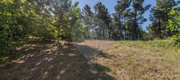 3 غرف نوم منزل في Chaves, Portugal رقم 186241 6