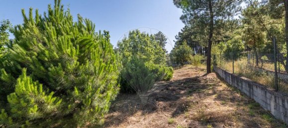 3 غرف نوم منزل في Chaves, Portugal رقم 186241 7