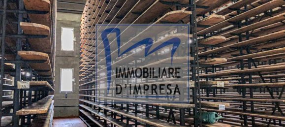 Entrepôt à Parma, Italy 1800m² No. 159815 3