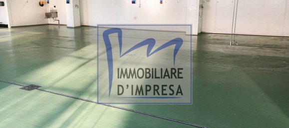 Entrepôt à Parma, Italy 1800m² No. 159815 16