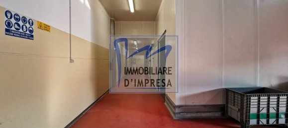 Entrepôt à Parma, Italy 1800m² No. 159815 17