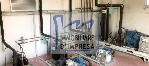 Entrepôt à Parma, Italy 1800m² No. 159815 13