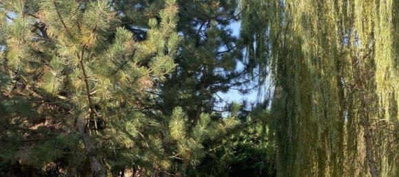 6 غرف نوم منزل في Semiana, Italy رقم 365660 2