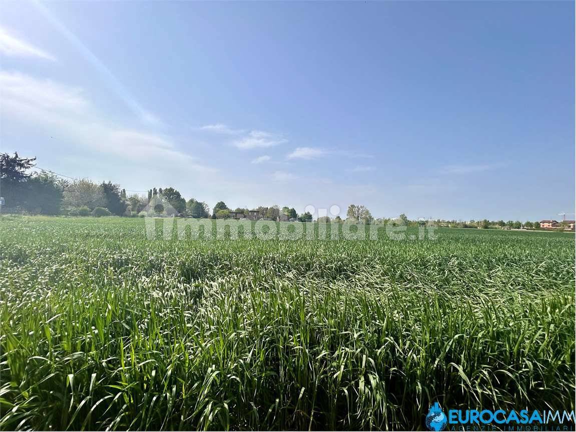33120m² Land in Novi di Modena, Italy No. 74785