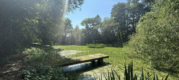 7 rooms House in Asperhofen, Austria No. 91109 10